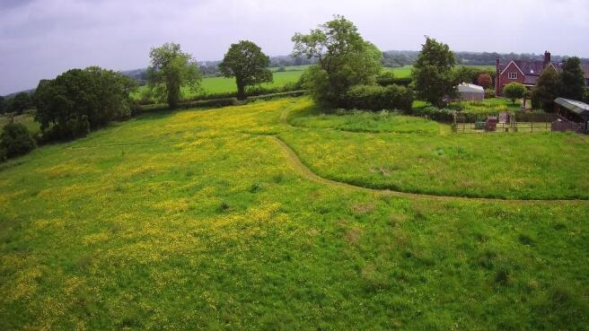 Gardens & Paddock 