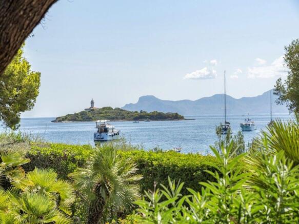 31 4e89ab65-89b8-41f