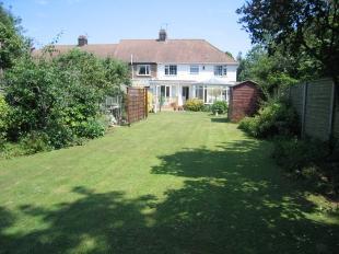Back Garden