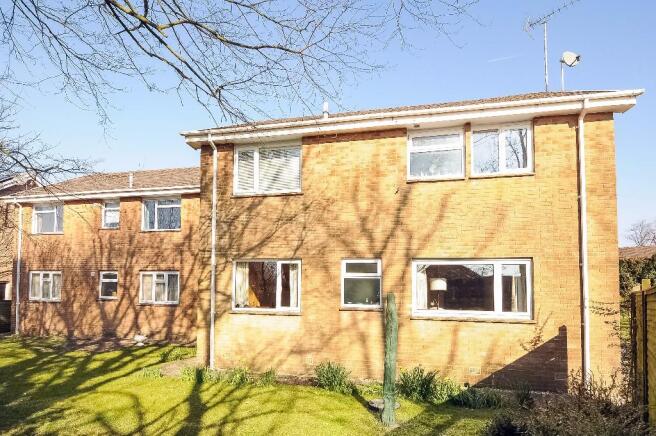 rear of property 