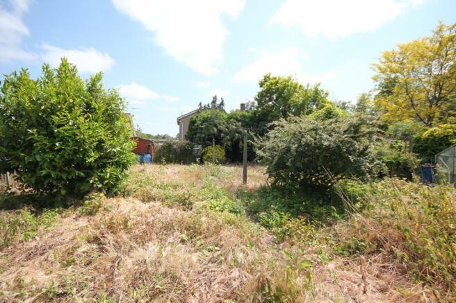 garden2.JPG
