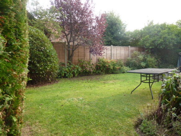 Photo 5