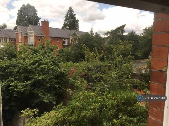 View From Bedroom