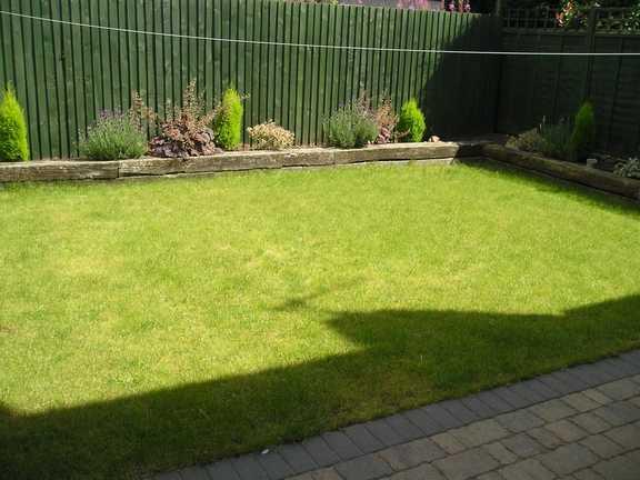 garden