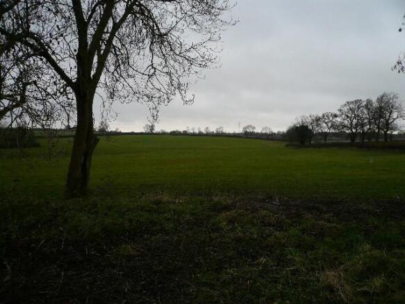 View from Garden