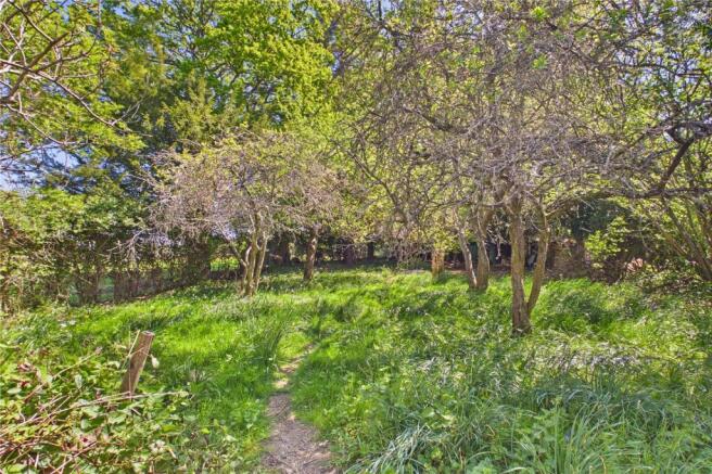 Garden Woodland