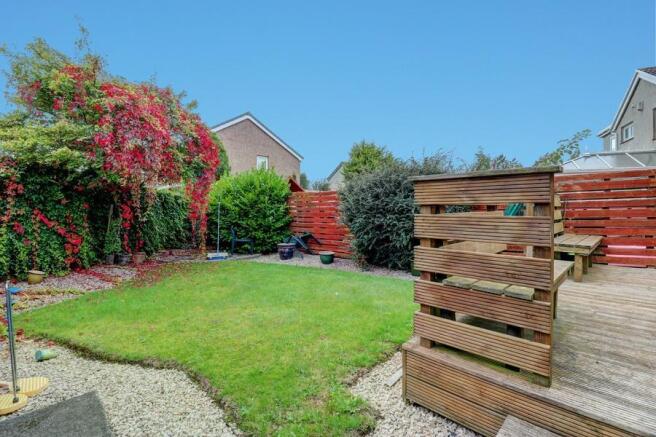 Garden at Back