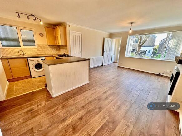 Open Plan Living Room And Kitchen
