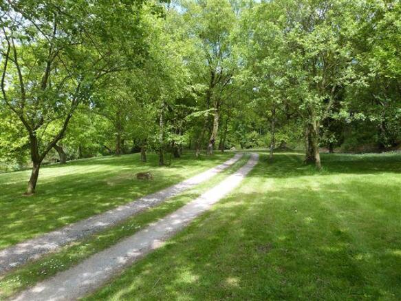 Driveway