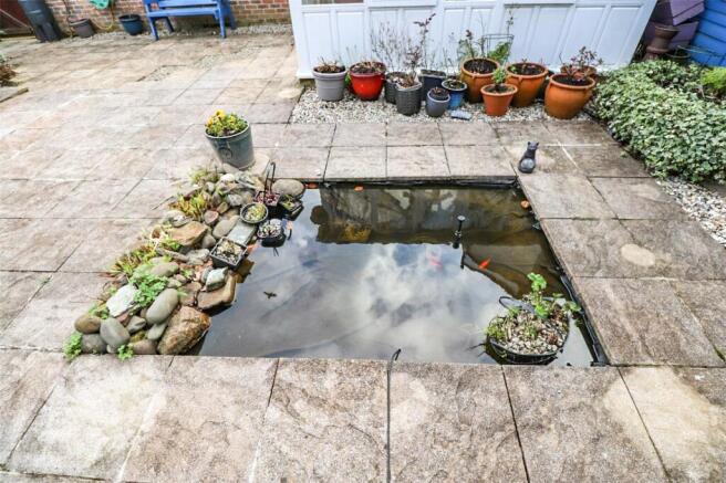 Pond