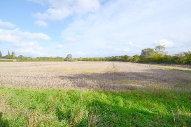 View East over field
