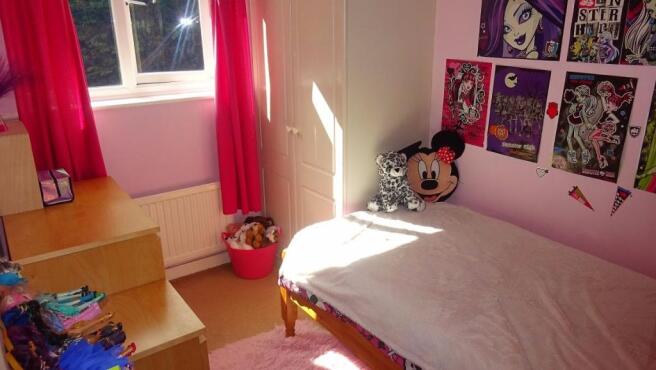 Photo 7