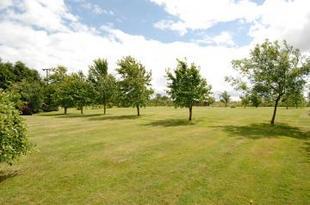 Copse