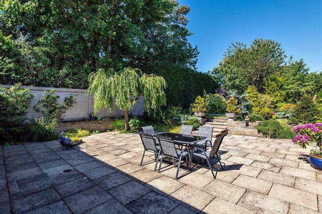 Patio Area