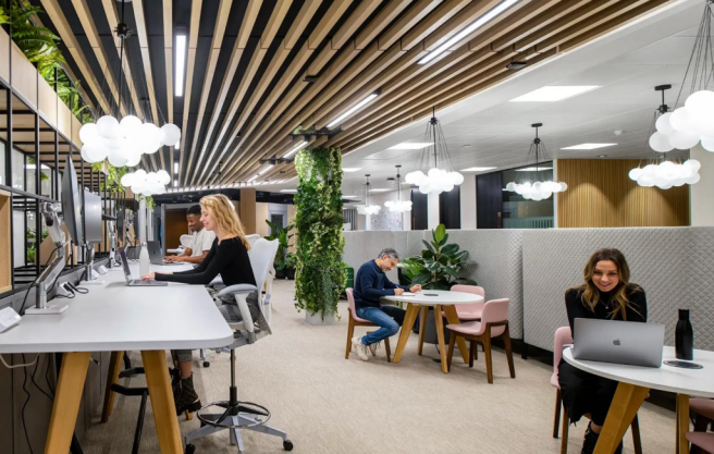 Offices .png