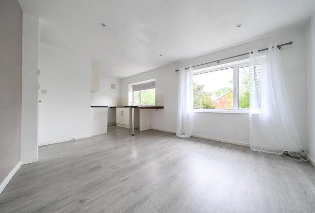 Kitchen/Living Area