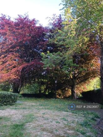 1 bed House Share to rent Image 6