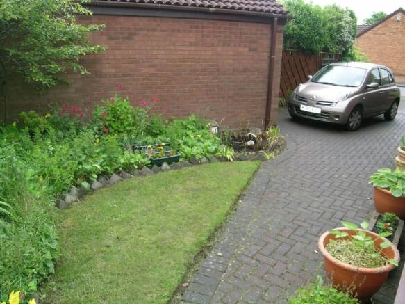 Photo 15