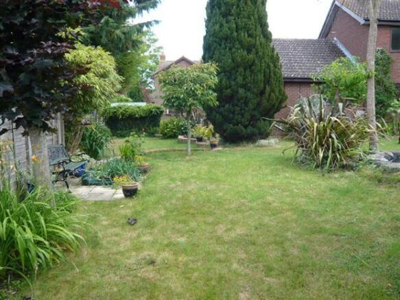 Photo 14