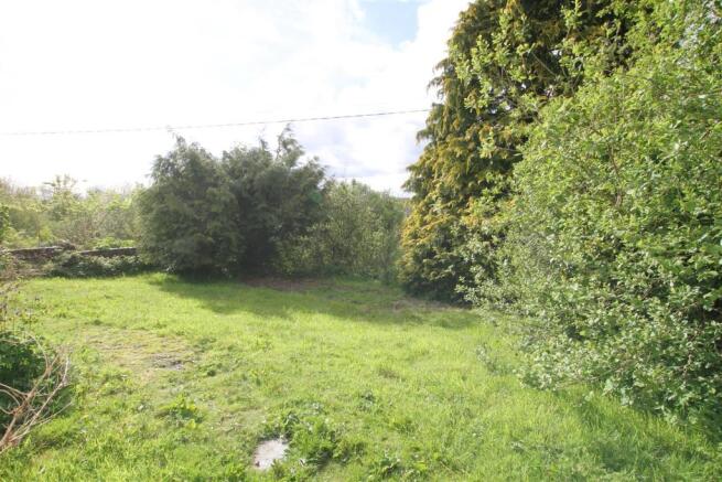Back garden