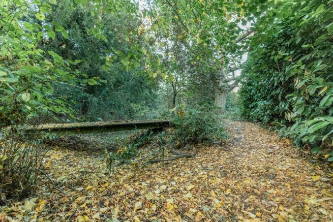 Photo 46