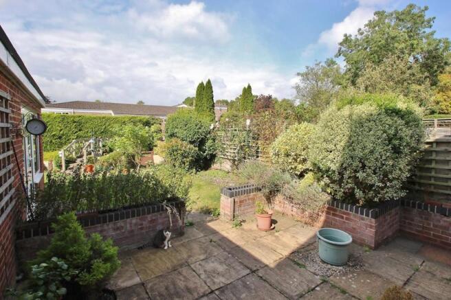Garden 5.JPG