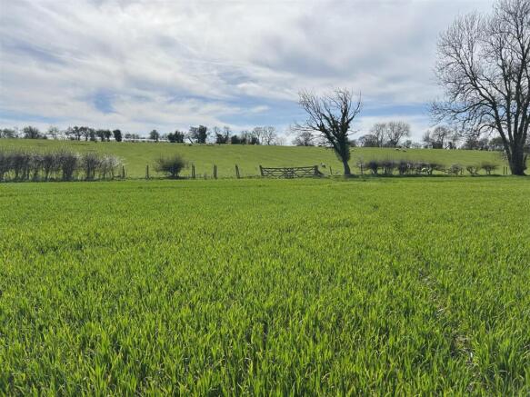 Photo Apr 07 2026, 14 12 31.jpg