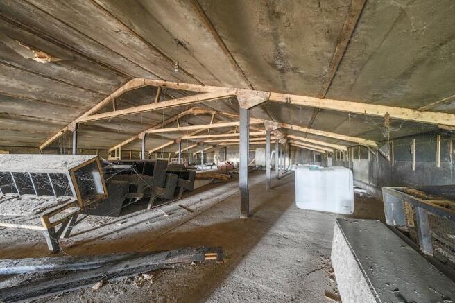 Internal