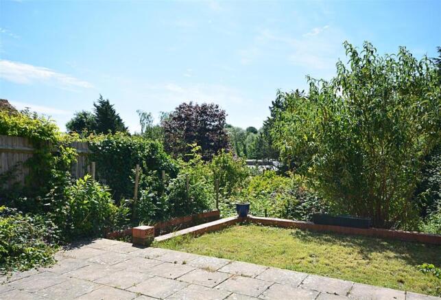 a garden 2.jpg