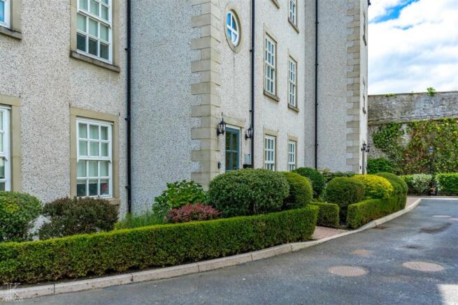 DSC01719.jpg