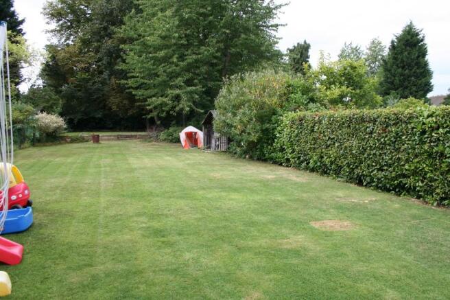 Photo 11