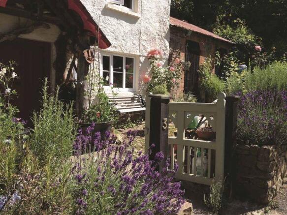 Front garden