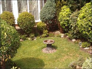 Rear Lawn
