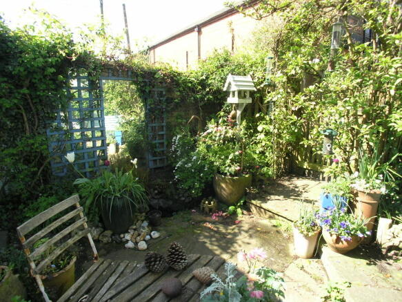 Photo 5