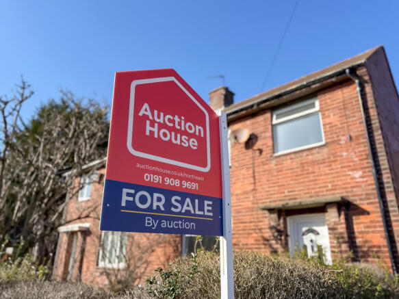 IMG 3403 T202603061259.jpg