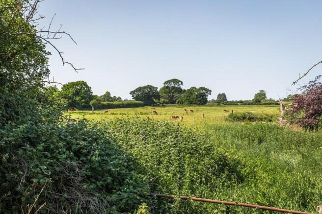 Field views