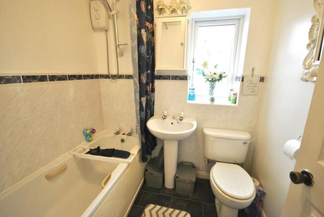 Photo 11