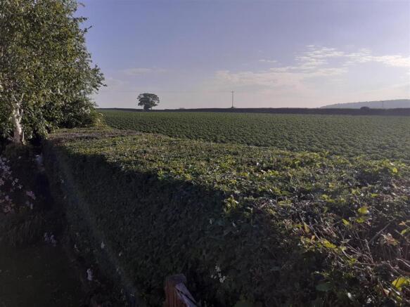 Rear garden view.jpg