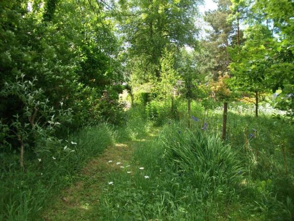 'Woodland Walk'