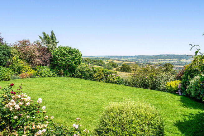 Garden And View