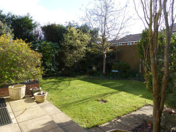 Photo 11