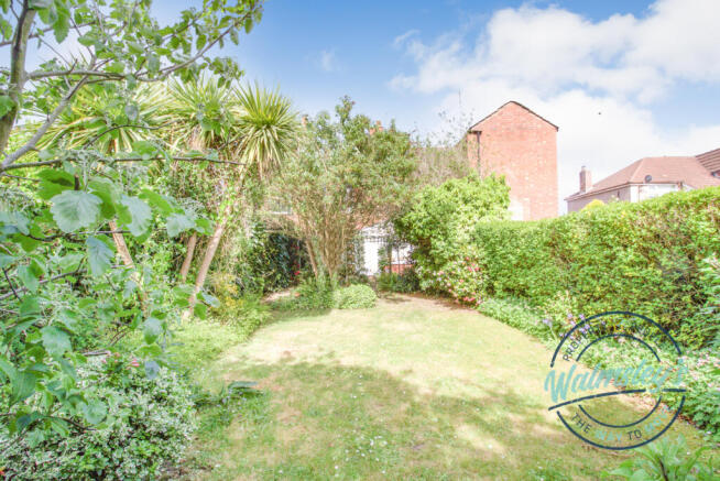 Rear gardens_1