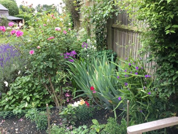 Summer Garden