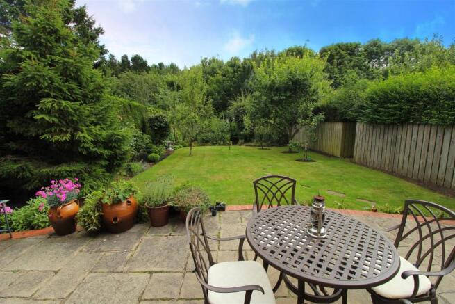 garden new 1.jpg