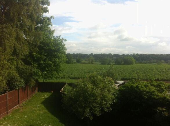 Stunning Views