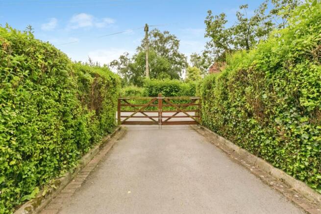 Garden: