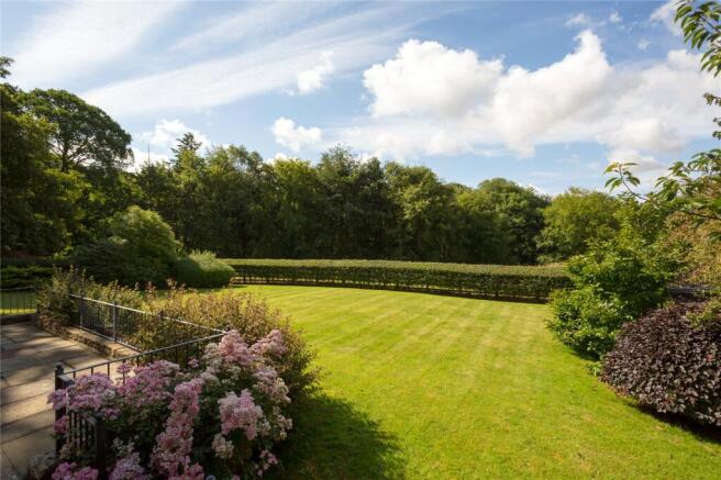 Back Garden