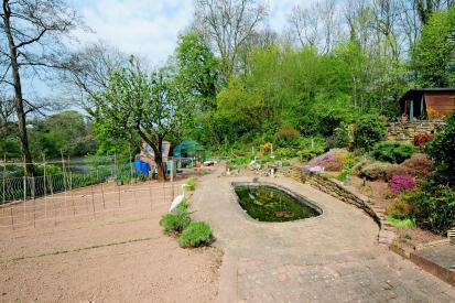 Allotment Area & Gardens