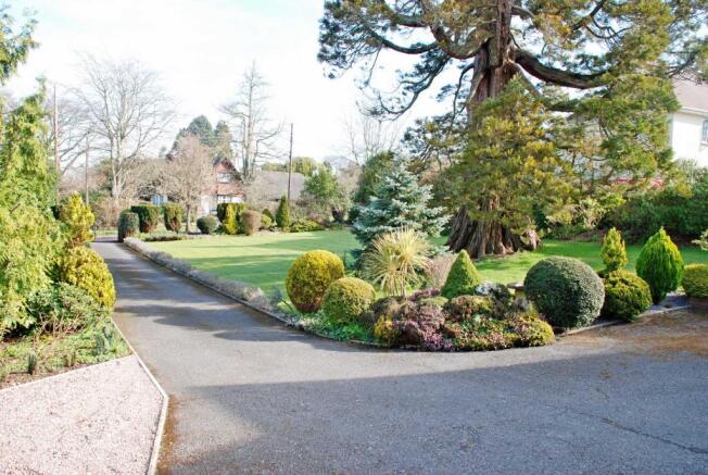 Front Lawn