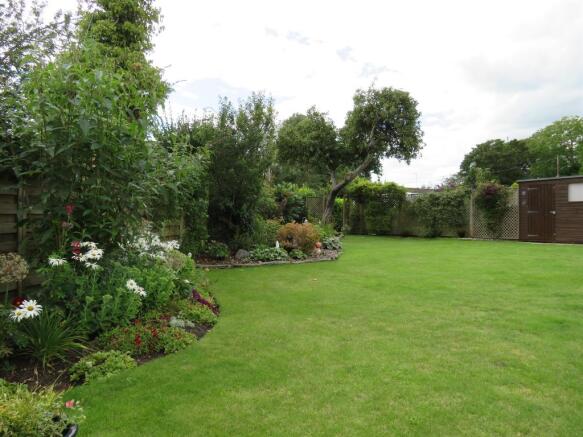 Photo 15